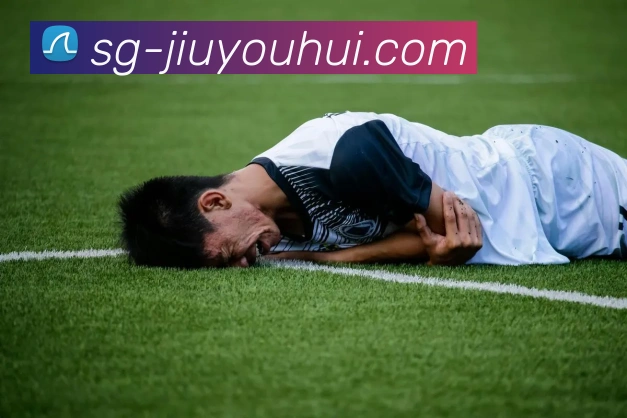 J9九游会官网APP 封面图